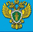 Прокуратура Веселовского района сообщает об ответственности за публичное распространение заведомо ложной информации о ходе специальной военной операции на Украине - Веселовский район