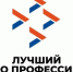 Региональный конкурс профессионального мастерства «Лучший по профессии» в номинации «Мастер отделочных работ» - Веселовский район
