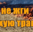 О запрете пала сухой растительности - Веселовский район