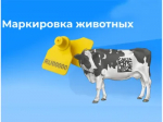 Памятка по маркированию сельскохозяйственных животных
