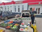 В Веселовском районе прошла универсальная сельскохозяйственная ярмарка